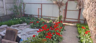 Дом по адресу (площадь 30 м²) - Atlanta.ua - фото 31