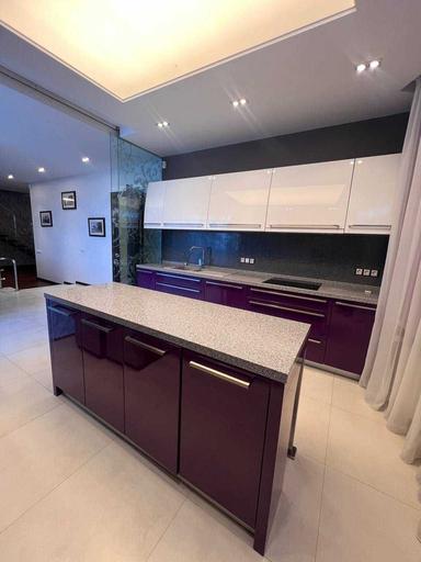 Многокомнатная квартира по адресу ул. Шолуденка (площадь 275 м²) - Atlanta.ua - фото 28