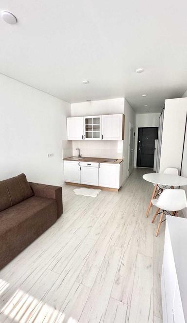 1-room apartment apartment by the address (area 24,7 m²) - Atlanta.ua - photo 17