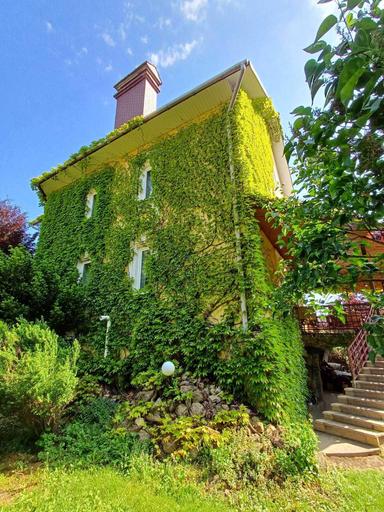 Дом по адресу ул. Капеланська (площадь 360 м²) - Atlanta.ua - фото 26