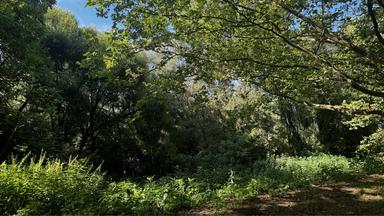 2-rooms apartment apartment by the address st. Radishcheva Oleksandra (area 47 m²) - Atlanta.ua - photo 14