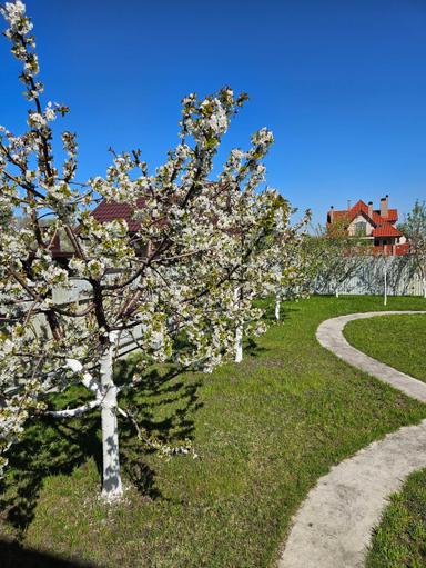 Дом по адресу (площадь 190 м²) - Atlanta.ua - фото 48