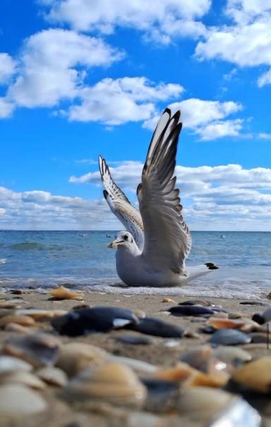 2-комнатная квартира по адресу ул. Приморская (площадь 73 м²) - Atlanta.ua - фото 32