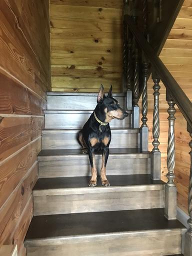 Дом по адресу ул. Магистратская (площадь 160 м²) - Atlanta.ua - фото 28