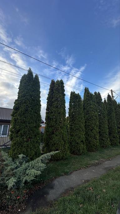 Дом по адресу ул. Приморская (площадь 50 м²) - Atlanta.ua - фото 30