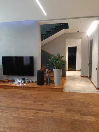 House by the address st. Sportivnaya (area 380 m²) - Atlanta.ua - photo 42