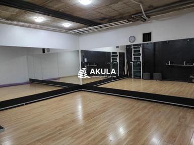 Комерційна нерухомість за адресою вул. Межигірська (площа 297 м²) - Atlanta.ua - фото 46