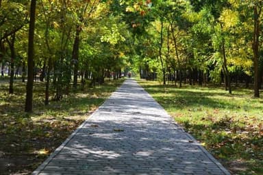 2-кімнатна квартира за адресою (площа 48 м²) - Atlanta.ua - фото 23