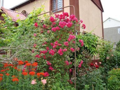 Дом по адресу (площадь 105 м²) - Atlanta.ua - фото 16