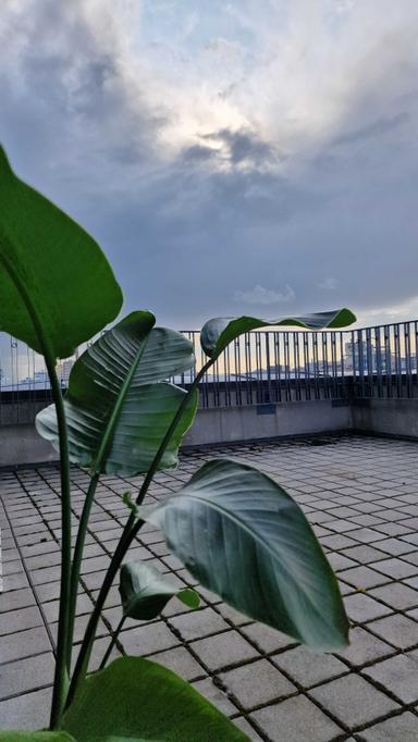 Объект снят с продажи - Atlanta.ua - фото 29