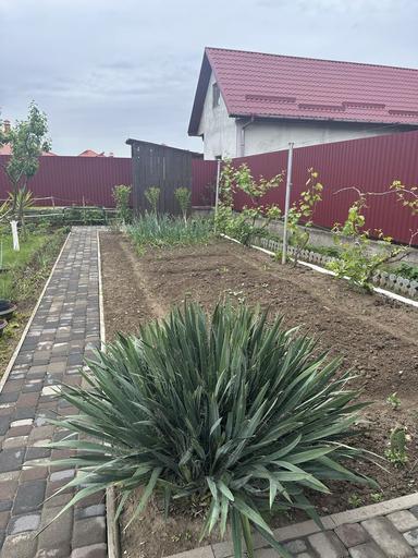 Дом по адресу Петефі Шандора пл. (площадь 205 м²) - Atlanta.ua - фото 38