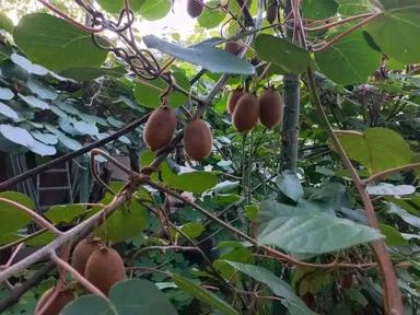 Дом по адресу ул. Загорская (площадь 110 м²) - Atlanta.ua - фото 33