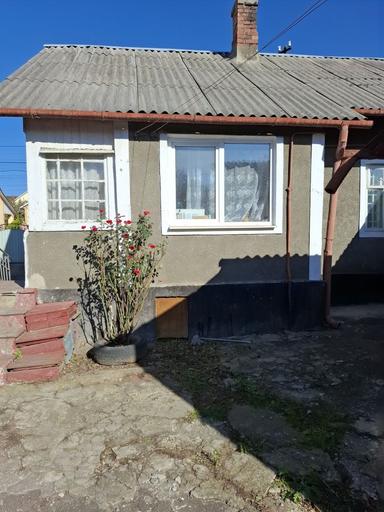 Дом по адресу ул. Кишинівська (площадь 43,4 м²) - Atlanta.ua - фото 30