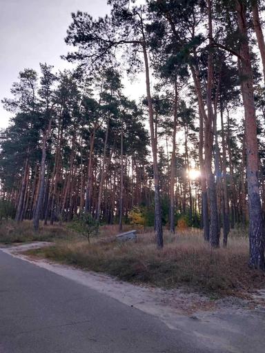 House by the address st. Lesnichaya (area 280 m²) - Atlanta.ua - photo 18