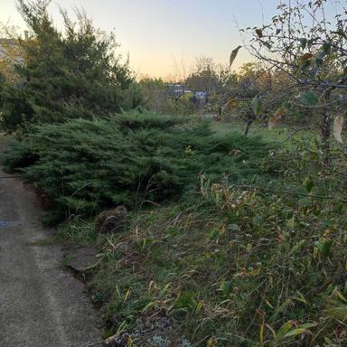 House by the address st. Molodezhnaya (area 60 m²) - Atlanta.ua - photo 19