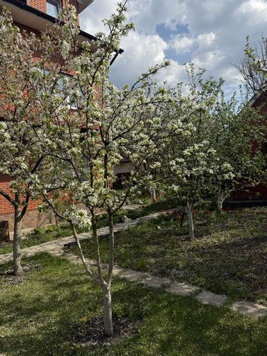 House by the address (area 480 m²) - Atlanta.ua - photo 45