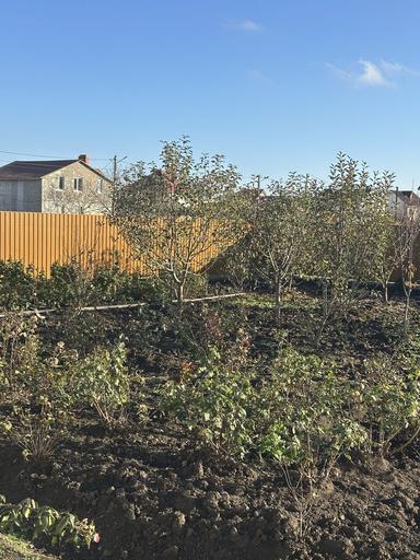 Будинок за адресою вул. Перемоги (площа 120 м²) - Atlanta.ua - фото 27