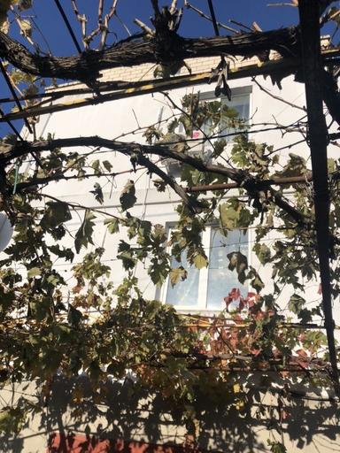 Дом по адресу ул. Мира(Ленина) (площадь 168 м²) - Atlanta.ua - фото 20