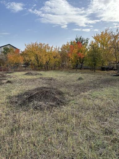 House by the address st. 1 y Geneticheskiy per (area 60 m²) - Atlanta.ua - photo 10