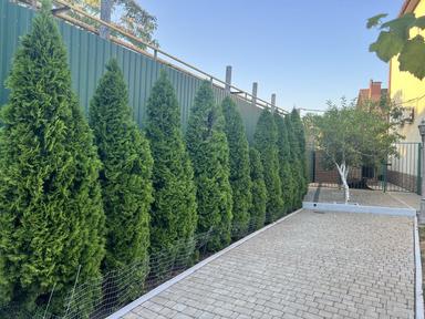 Дом по адресу ул. Приморская (площадь 217 м²) - Atlanta.ua - фото 25