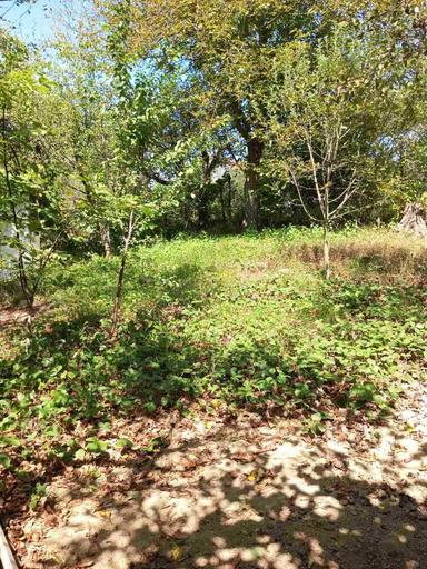 Дом по адресу ул. Капеланська (площадь 4 м²) - Atlanta.ua - фото 31