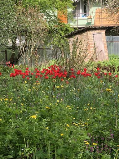 House by the address (area 64 m²) - Atlanta.ua - photo 40