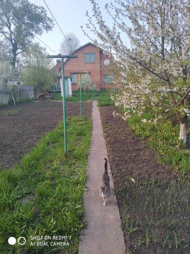 Дом по адресу ул. Магистратская (площадь 100 м²) - Atlanta.ua - фото 13