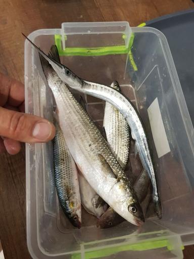 Дом по адресу (площадь 277 м²) - Atlanta.ua - фото 34