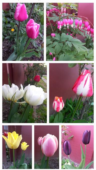 Дом по адресу ул. Загорская (площадь 110 м²) - Atlanta.ua - фото 42