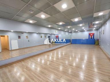 Комерційна нерухомість за адресою вул. Межигірська (площа 297 м²) - Atlanta.ua - фото 28