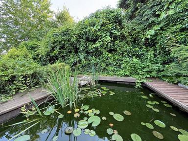 Дом по адресу Петефі Шандора пл. (площадь 400 м²) - Atlanta.ua - фото 35