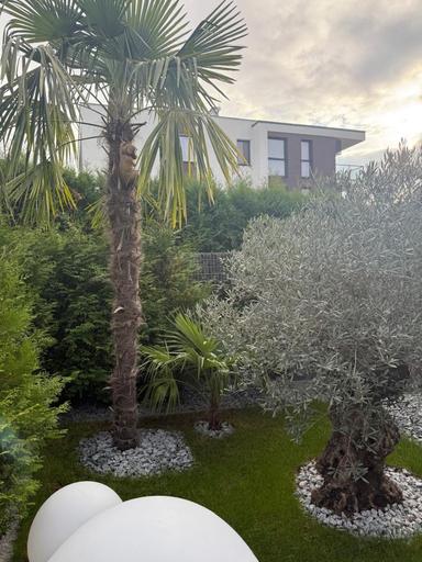 Дом по адресу Петефі Шандора пл. (площадь 130 м²) - Atlanta.ua - фото 24