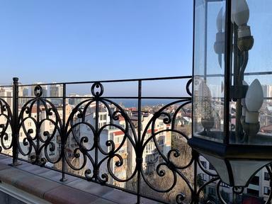 Многокомнатная квартира по адресу Куликово поле пл. (площадь 720 м²) - Atlanta.ua - фото 36