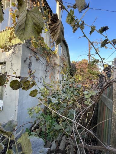 House by the address st. Primorskaya (area 102 m²) - Atlanta.ua - photo 8