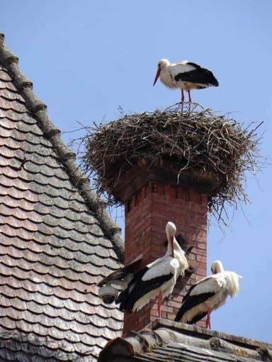 Дом по адресу (площадь 35 м²) - Atlanta.ua - фото 31