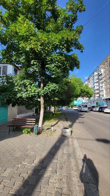 Commercial real estate at st. Sportivnaya (area 600 m²) - Atlanta.ua - photo 10