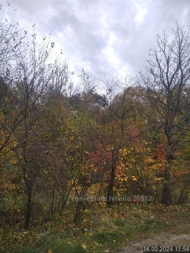 Будинок за адресою вул. Володимира Великого (площа 189 м²) - Atlanta.ua - фото 27