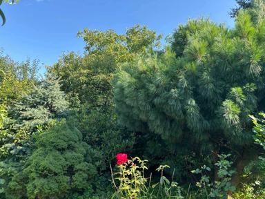 Будинок за адресою вул. Капеланська (площа 297 м²) - Atlanta.ua - фото 28