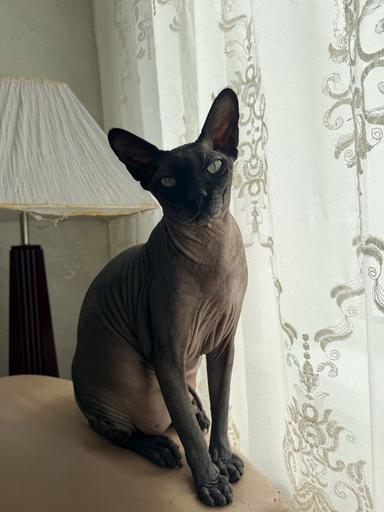 Дом по адресу ул. Васильковская (площадь 150 м²) - Atlanta.ua - фото 21