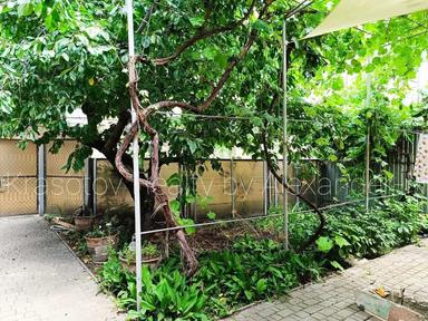 Многокомнатная квартира по адресу Куликово поле пл. (площадь 147 м²) - Atlanta.ua - фото 39