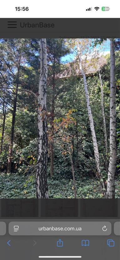 Будинок за адресою вул. Санаторна (площа 254 м²) - Atlanta.ua - фото 32