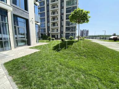 1-комнатная квартира по адресу бульвар Дружбы Народов (площадь 239 м²) - Atlanta.ua - фото 14