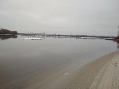 Дом по адресу ул. Лукьяненко Левка(Тимошенко) (площадь 60 м²) - Atlanta.ua - фото 15