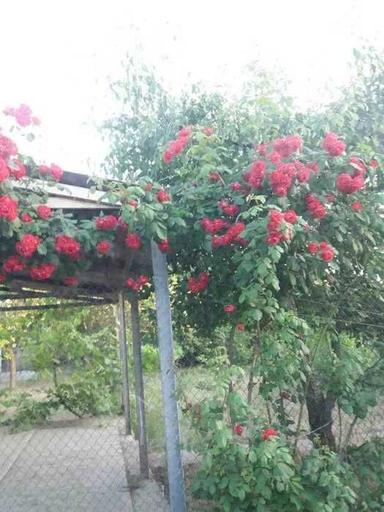 Будинок за адресою (площа 40 м²) - Atlanta.ua - фото 11