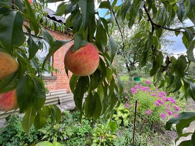 Будинок за адресою вул. Заболотного ак. (площа 110 м²) - Atlanta.ua - фото 21