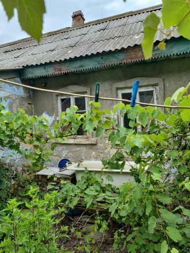 Будинок за адресою (площа 38 м²) - Atlanta.ua - фото 5