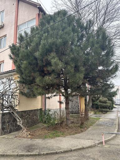 Багатокімнатна квартира за адресою Петефі Шандора пл. (площа 211 м²) - Atlanta.ua - фото 25