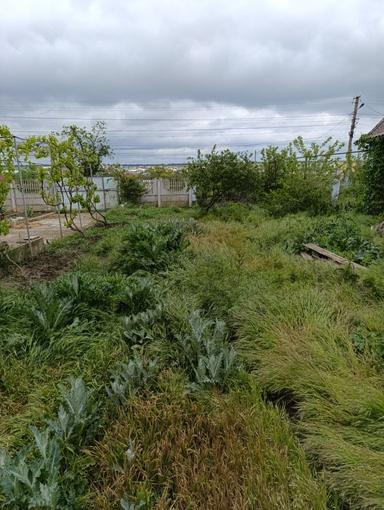 Дом по адресу ул. Китобойная (площадь 87 м²) - Atlanta.ua - фото 7