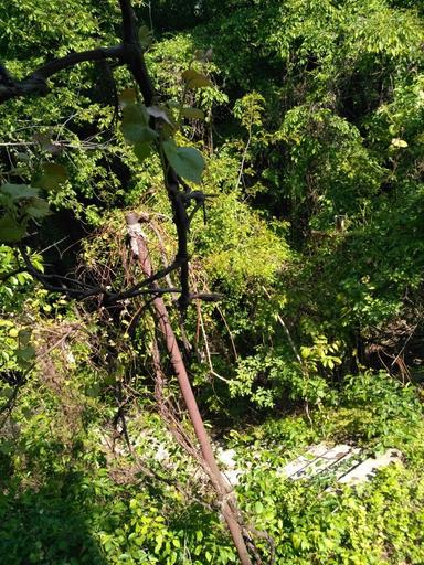 Дом по адресу Петефі Шандора пл. (площадь 70 м²) - Atlanta.ua - фото 20