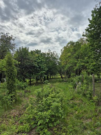 Дом по адресу Петефі Шандора пл. (площадь 61 м²) - Atlanta.ua - фото 23